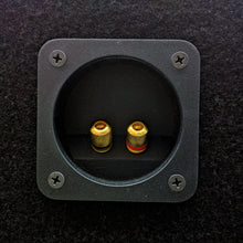 Load image into Gallery viewer, Dual Large Titanium Super Tweeter in Custom Built Angled Box 2000 Watts TW67 3"